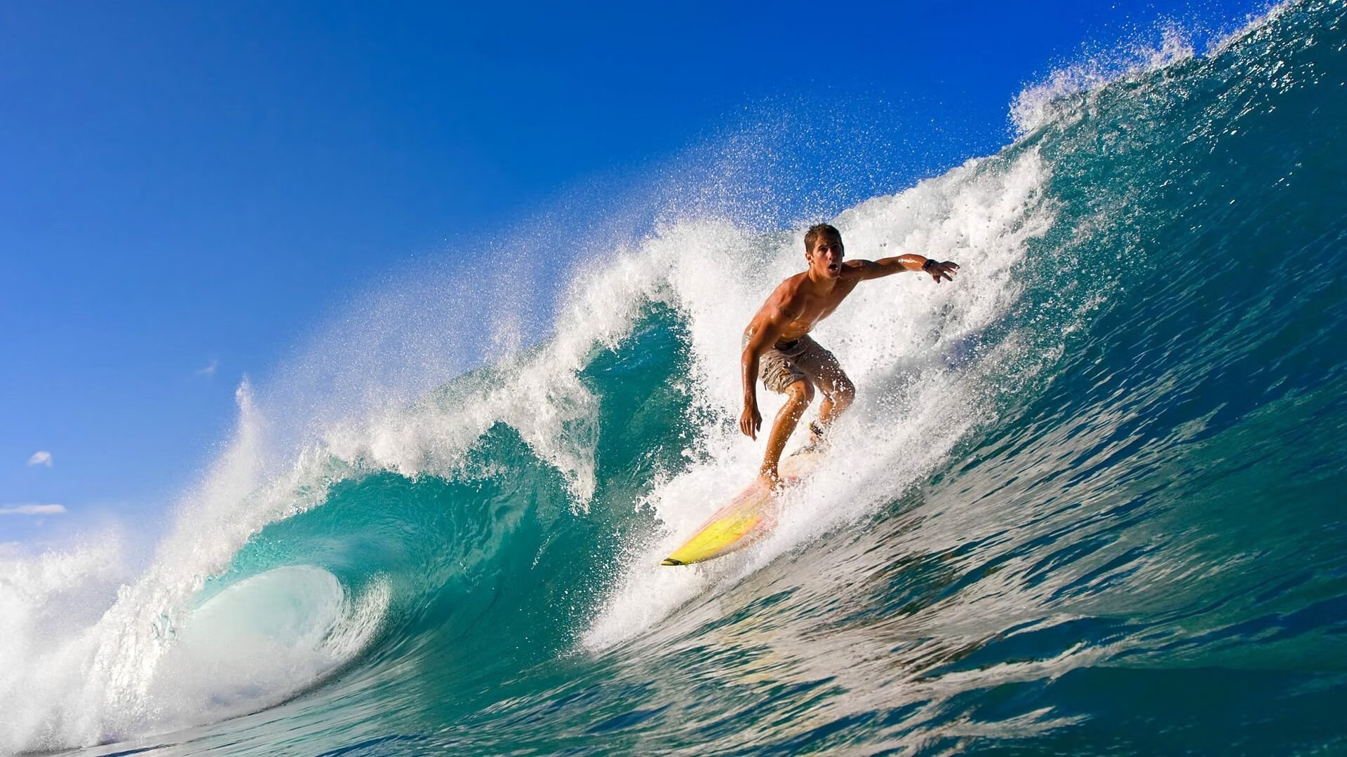 开云首页登录-体育新闻中心深化体育视频原创版权数字化管理,体育新闻体育视频央视网